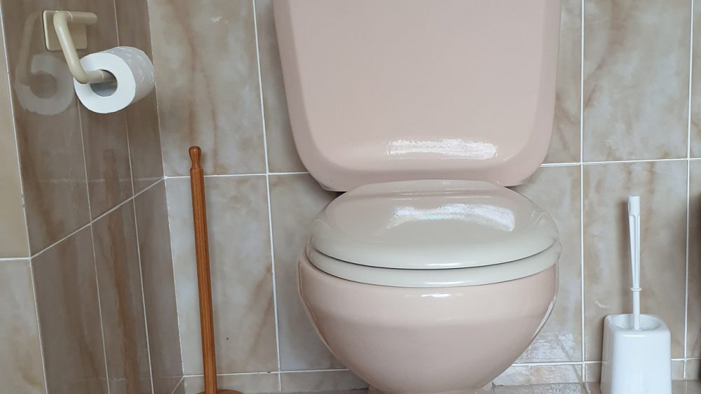 Original toilet before replacement